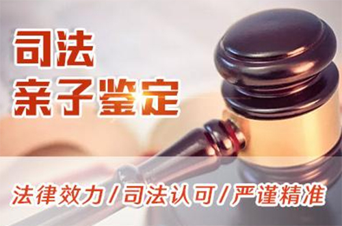 辽源司法亲子鉴定条件和材料,辽源司法亲子鉴定在哪做