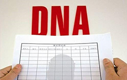 辽源司法DNA亲子鉴定要如何办理鉴定咨询